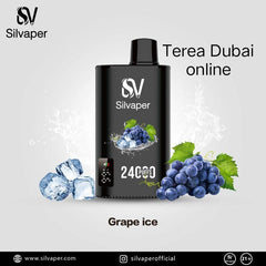 Offer! Silvaper 24000 Puffs 5p Combo Rechargeable Disposable Vape in Dubai
