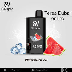 Offer! Silvaper 24000 Puffs 5p Combo Rechargeable Disposable Vape in Dubai