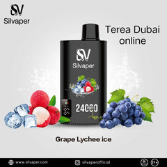 Offer! Silvaper 24000 Puffs 5p Combo Rechargeable Disposable Vape in Dubai