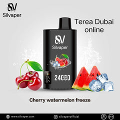 Offer! Silvaper 24000 Puffs 5p Combo Rechargeable Disposable Vape in Dubai