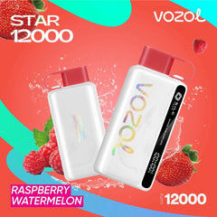 VOZOL STAR RECHARGEABLE DISPOSABLE 12000 PUFFS IN DUBAI UAE