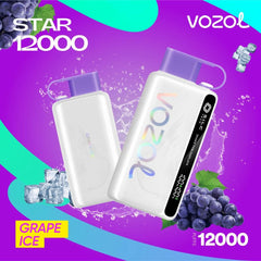 VOZOL STAR RECHARGEABLE DISPOSABLE 12000 PUFFS IN DUBAI UAE