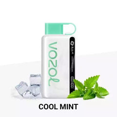 VOZOL STAR RECHARGEABLE DISPOSABLE 12000 PUFFS IN DUBAI UAE