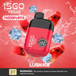 ISGO Paris 14000 Puffs Disposable Vape In  DUBAI UAE