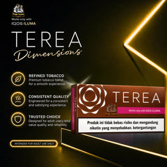 TEREA Bronze Indonesian tobacco sticks compatible with IQOS ILUMA